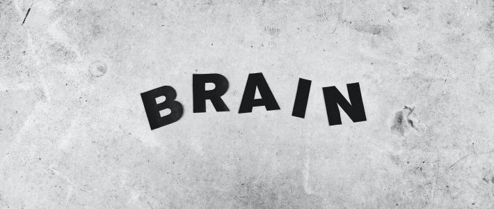 Что из себя представляют ритмы головного мозга? Учимся оптимизировать производительность нашего мозга